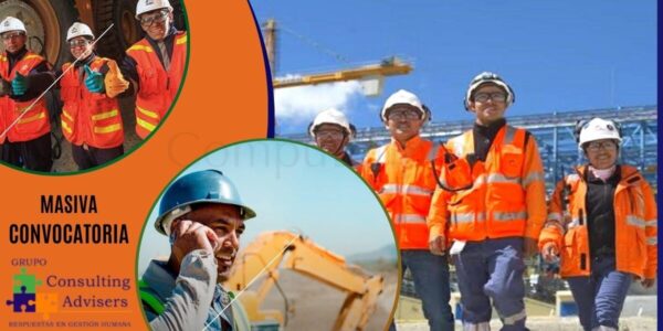 Reconocido empresa Consulting Advisers cuenta con nuevas plazas