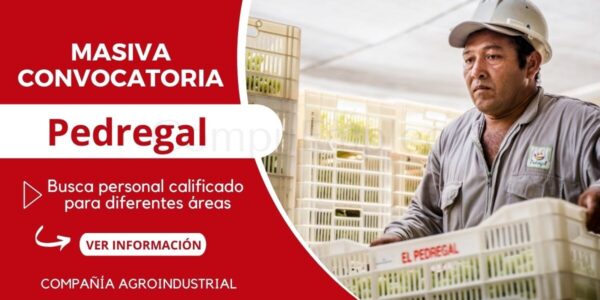EL PEDREGAL: compañía agroindustrial líder en el Perú organiza su nueva convocatoria EL PEDREGAL: compañía agroindustrial líder en el Perú organiza su nueva convocatoria